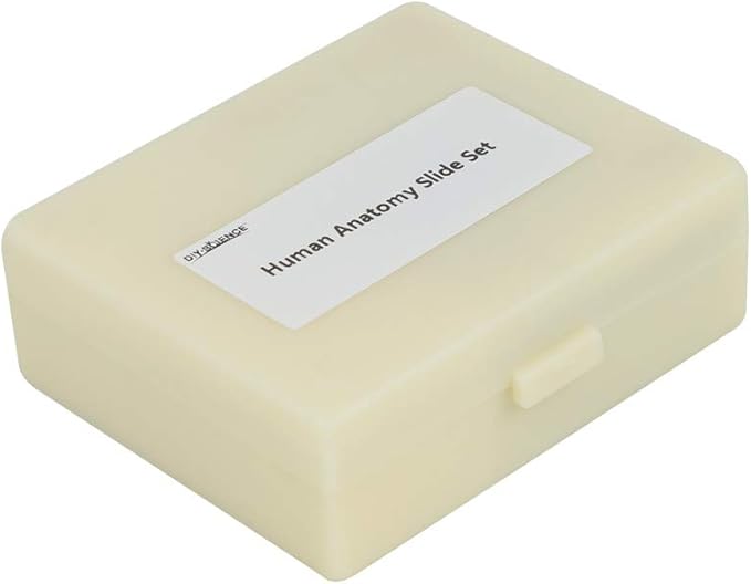Prepared Human Tissue Anatomy Microscope Slides Set, 17pcs Hand-Prepared Slides Survey The Major Tissues and Organs of Human Body Dedicated to Human Physiology (Human Anatomy)