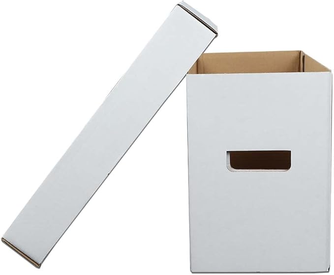 G-PLUS Comic Books Storage Boxes 10 Boxes With Lids Short Holds 150-175 Stackable Durable Archive White Comic Book Storage