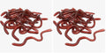 Gejoy 16 Pieces Fake Worms Rubber Play Worms Realistic Plastic Toy Earthworm Worm Farm for Halloween April Fool's Day Party (Pack of 2)