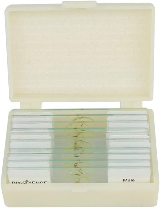 Prepared Whole Insects Microscope Slides Set, 10pcs Specimens for Kids Students Biology Class, Educational Gift (Whole Insects)