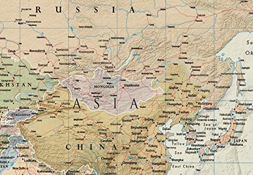 Swiftmaps World Contemporary Premier Wall Map Poster Mural 24h x 36w - LAMINATED