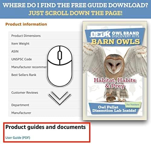 OBDK Barn Owl Pellets for Dissection - 20 Pack Medium Sized (1.5"-2.0") with Tools, Guide and Charts from Owl Brand Discovery Kits