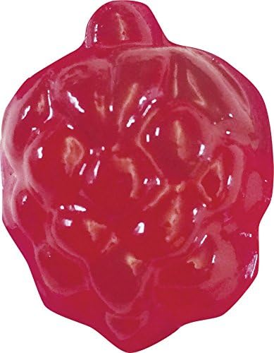 Thames & Kosmos Gummy Candy Lab V2.0 Tasty Labs STEM Experiment Kit, Make Yummy Gummy Candies in Cool Shapes - Dinos, Dolphins, Bears & More! Explore Chemistry, Made in USA, Food Ingredients Included