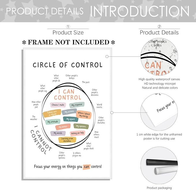 Circle Of Control Poster What I Can And Cannot Control Therapy Office Wall Art Kids Mental Health Poster Calm Down Corner School Decor 12x16in Unframed