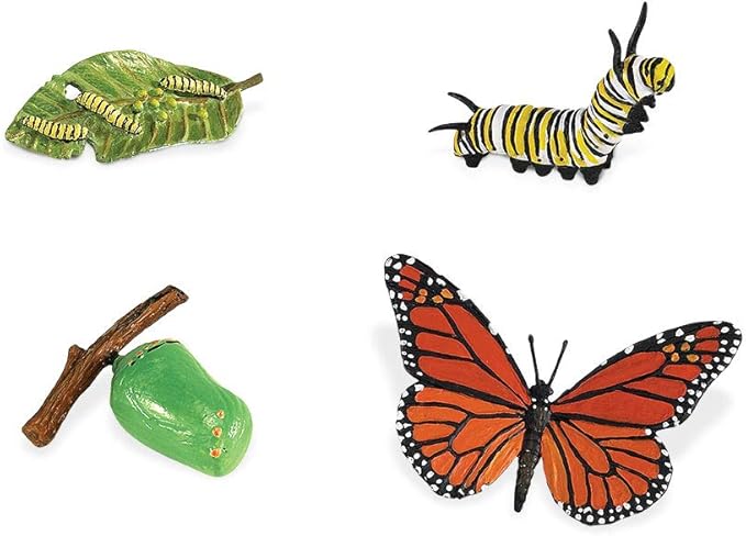 Safari Ltd. Life Cycle of a Monarch Butterfly - Educational Toy Figurines - Miniature Butterfly Lifecycle Collection for Boys, Girls & Kids Age 4+