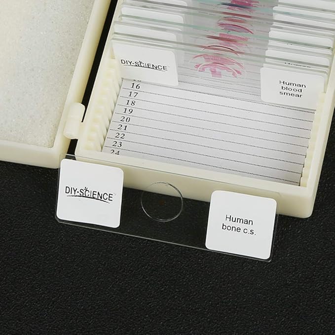 Prepared Human Tissue Anatomy Microscope Slides Set, 17pcs Hand-Prepared Slides Survey The Major Tissues and Organs of Human Body Dedicated to Human Physiology (Human Anatomy)