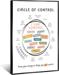 Circle Of Control Poster What I Can And Cannot Control Therapy Office Wall Art Kids Mental Health Poster Calm Down Corner School Decor 12x16in BlackFramed