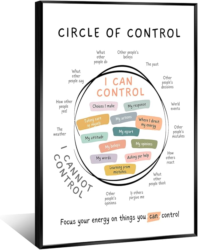 Circle Of Control Poster What I Can And Cannot Control Therapy Office Wall Art Kids Mental Health Poster Calm Down Corner School Decor 20x30in BlackFramed