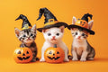 Kittens and Pumpkins - Adult Wizard Hat Halloween 500 Pieces Adult Puzzle - Challenging Family Activities