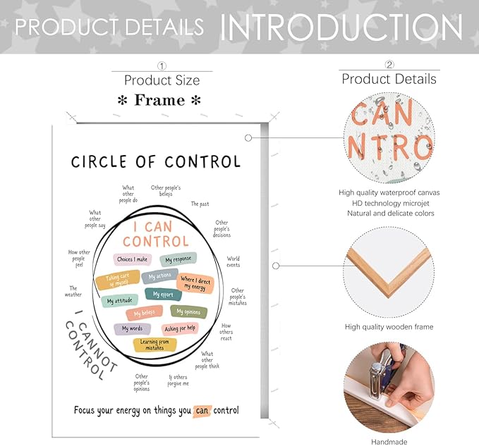 Circle Of Control Poster What I Can And Cannot Control Therapy Office Wall Art Kids Mental Health Poster Calm Down Corner School Decor 20x30in Framed