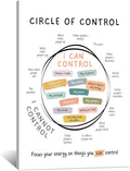 Circle Of Control Poster What I Can And Cannot Control Therapy Office Wall Art Kids Mental Health Poster Calm Down Corner School Decor 20x30in Framed