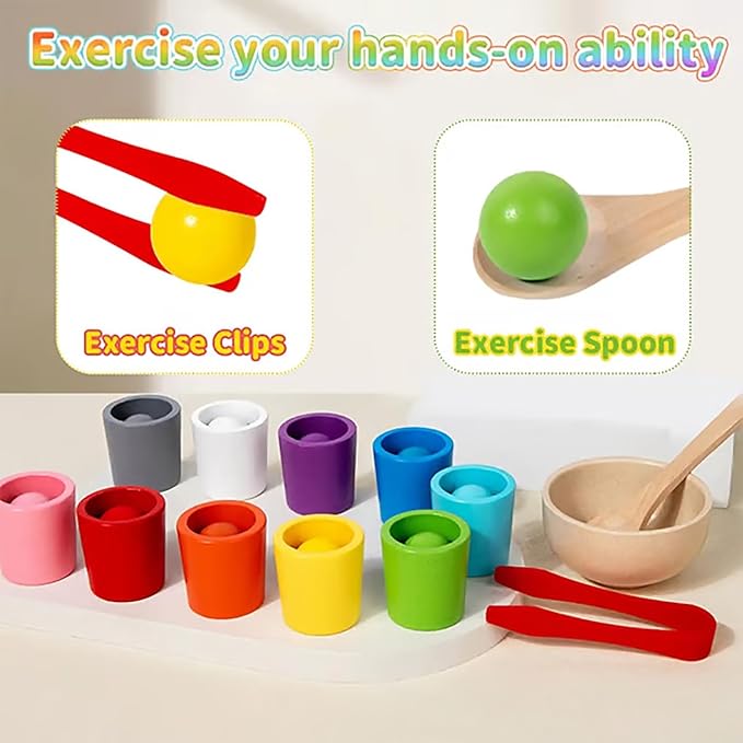 Rainbow Balls in Cups Toddler Toys, Montessori Wooden Color Sorting Toys for Toddlers 1-3, Educational Preschool Learning Game, Fine Motor Skills Montessori Matching Toy for Kids(1pc)