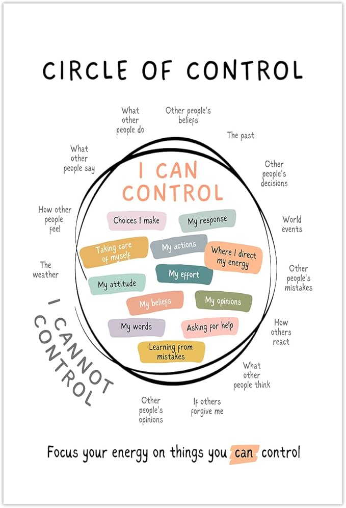 Circle Of Control Poster What I Can And Cannot Control Therapy Office Wall Art Kids Mental Health Poster Calm Down Corner School Decor 24x36in Unframed