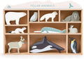Tender Leaf Toys - Polar Animals - 10 Solid Wood Polar Animals with Shelving Unit - Made for Little Hands, Improve Hand-Eye Coordination for Boys and Girls - Age 3+