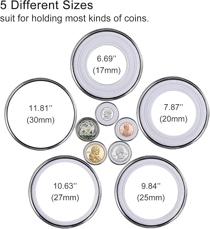 120 Pcs 30mm Coin Capsules Holder with Foam Gasket and Plastic Storage Organizer Box, 5 Sizes (17/20/25/27/30mm) Coins Collector Case Protector for Coin Collection Supplies