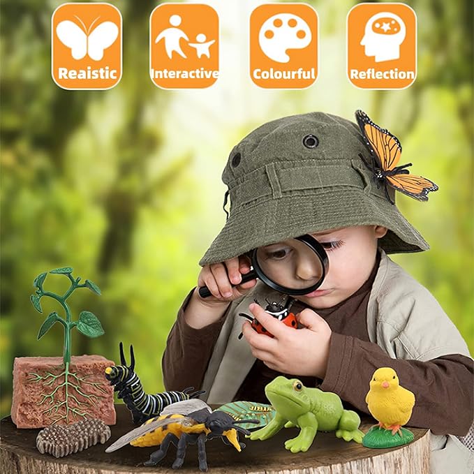 Montessori Life Cycle Animal Figures with Flash Cards, Realistic Animal Figurines Toy, Educational Matching Game for 3+ Year Old Toddlers Kids (Ladybug)