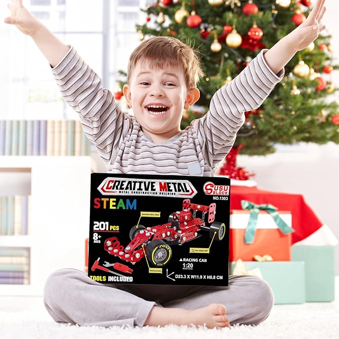 Building Car Metal Model Kits,STEM Building Toys Model Car Kits for Boys 8-12,Erector Sets 1:20 Scale Red Racing Car Metal Building Blocks for Kids Boys 8 9 10 11 12-16 Years Old