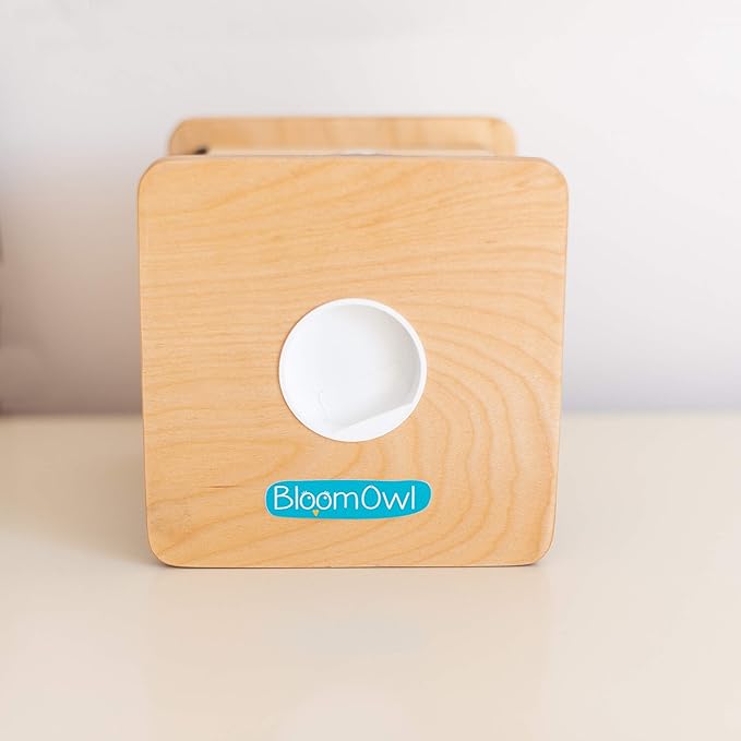 Wooden Piggy Bank for Kids and Adults, Personalized Gift Handmade in USA by BloomOwl, Custom Piggy Bank, Personalized Banks for Kids, Gifts for Baby Boys and Girls (Woodland Friends)