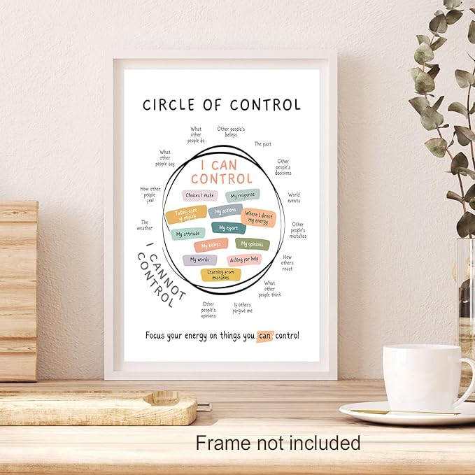 Circle Of Control Poster What I Can And Cannot Control Therapy Office Wall Art Kids Mental Health Poster Calm Down Corner School Decor 12x16in Unframed