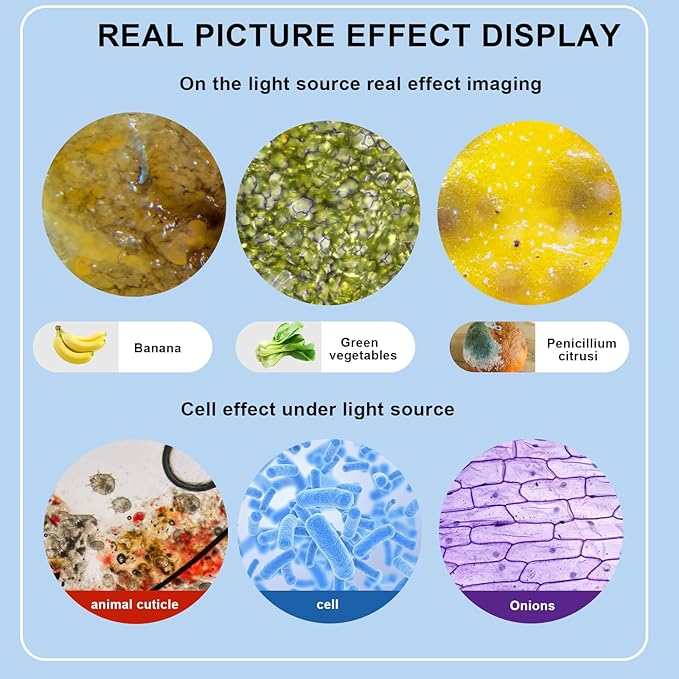 Trinocular Microscope 40X-5000X Magnification Laboratory Grade with Dual Mechanical Stage and HD USB Camera Microscope for Adults