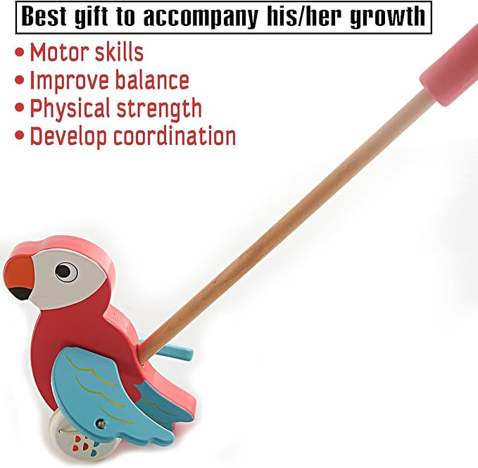 RUYU Parrot Wooden Push and Pull Walking Toy for Toddlers and Babies Girl or Boy, Classic Early Learning Wooden Balance Walking Play Toy