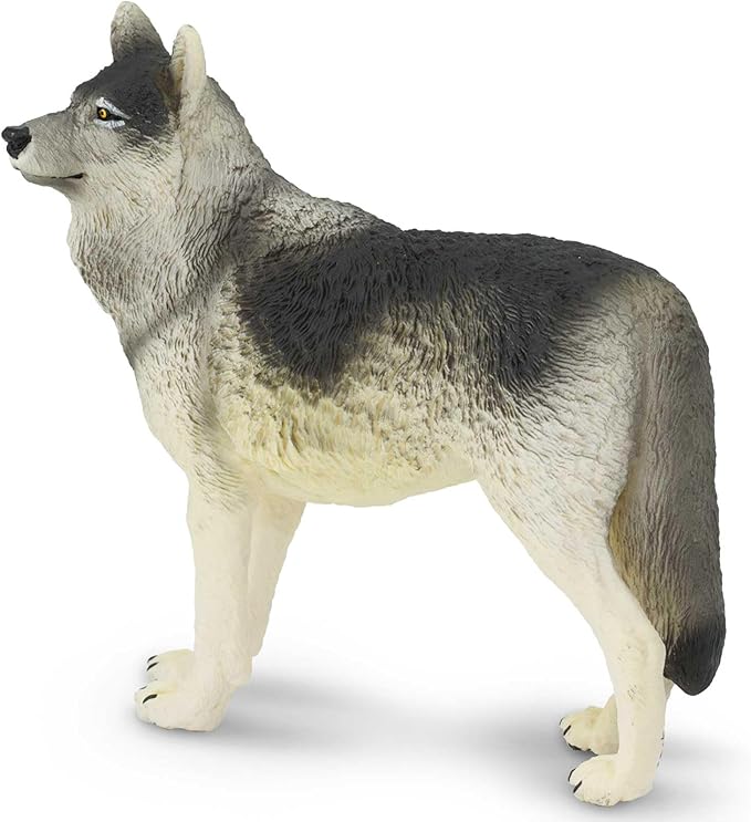 Safari Ltd. Gray Wolf Toy Figurine - Detailed 4.8" Plastic Model Figure - Fun Educational Play Toy for Boys, Girls & Kids Ages 3+