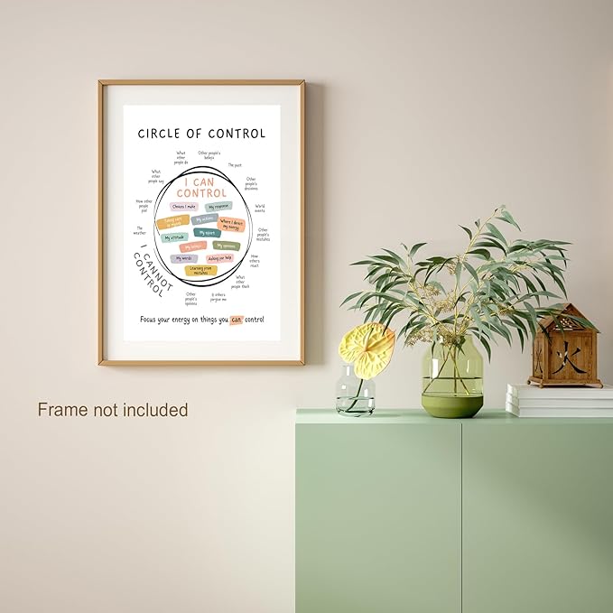 Circle Of Control Poster What I Can And Cannot Control Therapy Office Wall Art Kids Mental Health Poster Calm Down Corner School Decor 16x24in Unframed