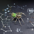 Mechanical Metal DIY 3D Insect Brass Puzzle (Gatling Spider)