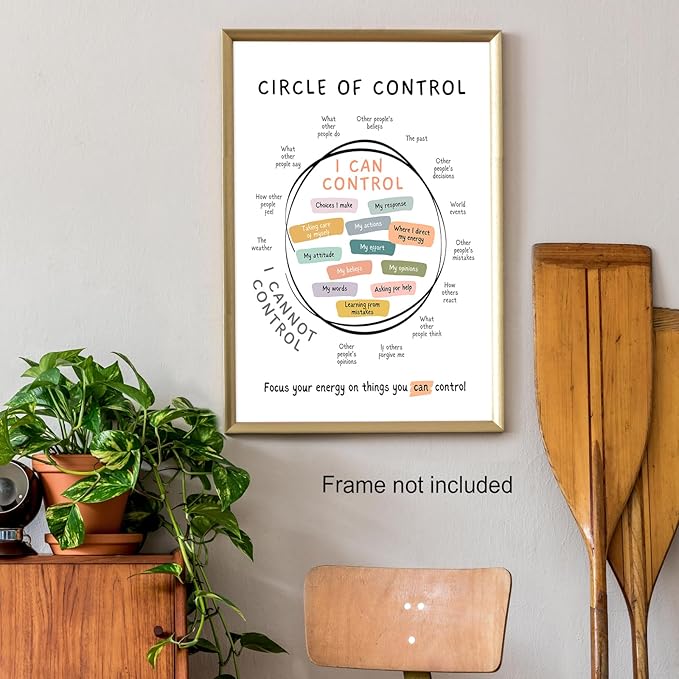 Circle Of Control Poster What I Can And Cannot Control Therapy Office Wall Art Kids Mental Health Poster Calm Down Corner School Decor 16x24in Unframed