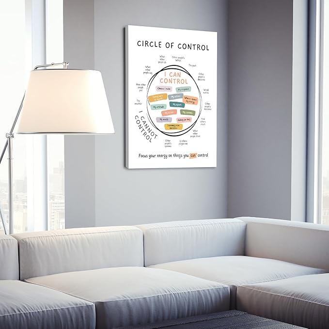 Circle Of Control Poster What I Can And Cannot Control Therapy Office Wall Art Kids Mental Health Poster Calm Down Corner School Decor 16x24in Framed