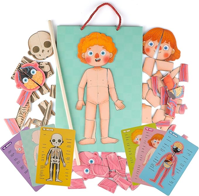 Human Body Puzzle for Kids Toddlers 90PCS Magnetic Boy Girl Anatomy Play Set Body Parts Organs Muscles Skeleton and Bones Wooden Puzzle Toys Aged 3+ Educational Learning Preschool Toys