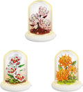 Creative Botanical Micro Blocks with Light Set - 550PCS Artificial Chrysanthemum, Peony and Hibiscus, Perfect DIY Gift for Adults, Teens and Flower Lovers