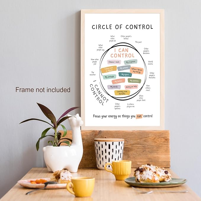 Circle Of Control Poster What I Can And Cannot Control Therapy Office Wall Art Kids Mental Health Poster Calm Down Corner School Decor 24x36in Unframed