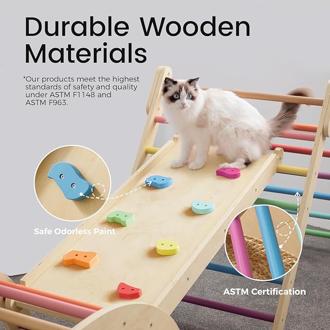 Tiny Land Pikler Triangle Set, 7-in-1 Foldable Pikler Triangle Climbing Toys Set for Kids,Baby Indoor Playground Jungle Gym, Wooden Montessori Climbing Set for Toddler (Rainbow)