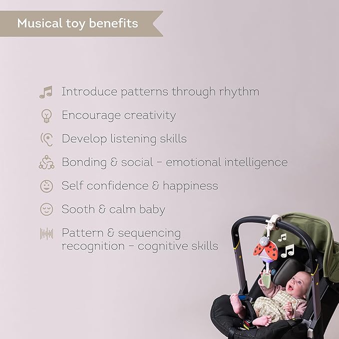 Taf Toys Music & Light Ladybug Take Along Toy, Portable Baby Sound Machine, Newborn Soother, Infant Musical Crib Mobile, Perfect for Tummy Time and Brain Development, Suitable for 0-6 Months