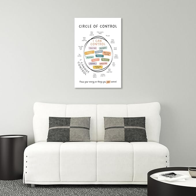 Circle Of Control Poster What I Can And Cannot Control Therapy Office Wall Art Kids Mental Health Poster Calm Down Corner School Decor 16x24in Framed