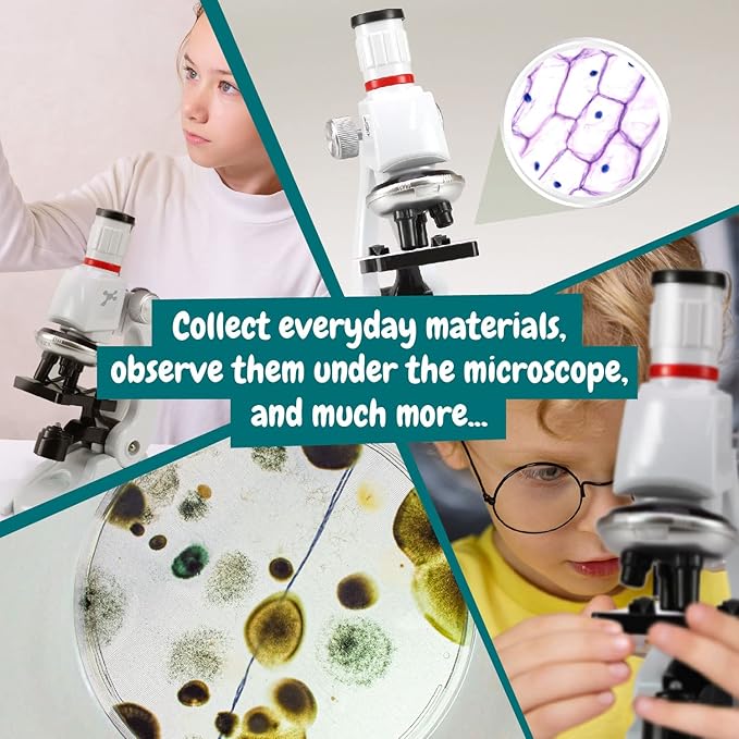 Science4you Microscope Lab - Kids´ Microscope Kit for 8+ Year Old + Manual with Experiments + 11 Lab Tools, Educational Science Toy and Gift for Kids 6 7 8 9 10 11 12+ Year olds
