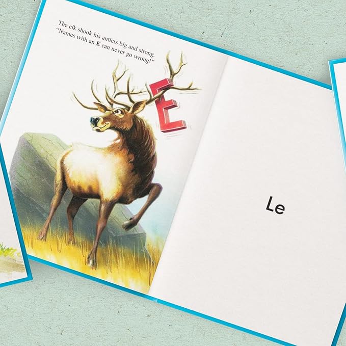 My Very Own Name (Classic Edition) - Personalized Children's Story | Softcover | 9" x 11" | I See Me!