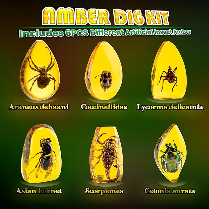 GobiDex Amber Dig Kit-Artificial Insect Resin, Excavate 6 Insects Specimens, STEM Geographic Educational Bugs Toys, Excavation Toys for Fun Bugs Party Favors, Science Kits for Kids Age 6-8 8-12