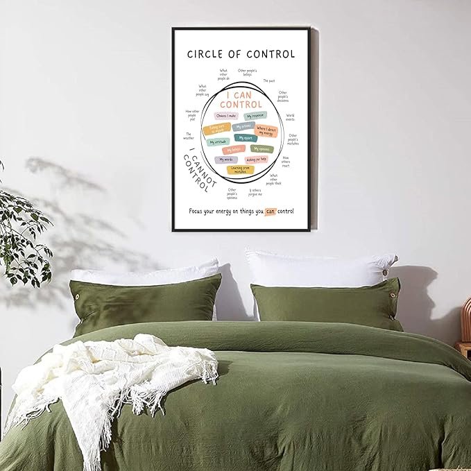 Circle Of Control Poster What I Can And Cannot Control Therapy Office Wall Art Kids Mental Health Poster Calm Down Corner School Decor 20x30in BlackFramed