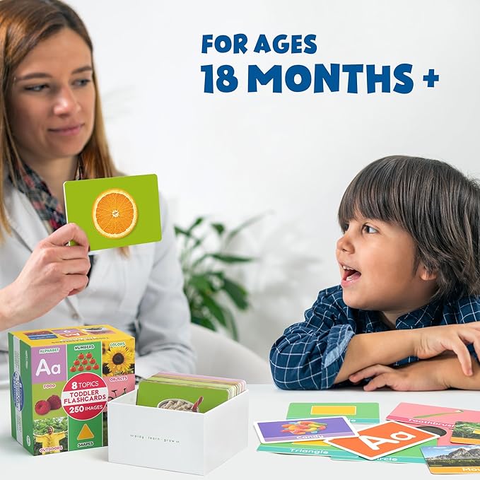 BenBen Flash Cards for Toddlers, 250 Images, Extra Thick Double-Sided Educational Flashcards, Alphabet, Number, Animal, Shape, Color, Preschool Learning Activities, Gift for Kids 1 2 3 4 Years