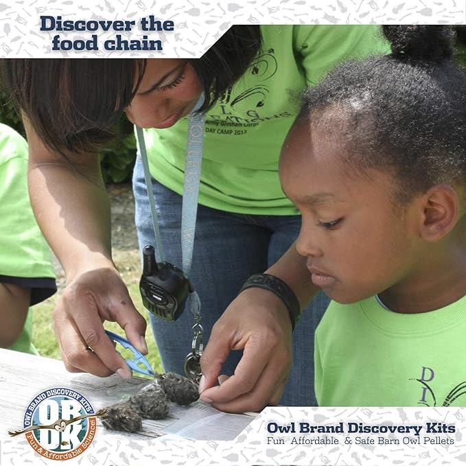 OBDK Barn Owl Pellets for Dissection - 1 Pack Jumbo Sized (2.0"-Larger) with Tools and Charts from Owl Brand Discovery Kits