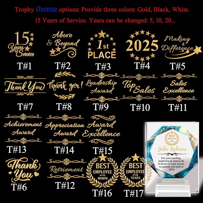 Custom Engraved Acrylic Employee Recognition Award – Personalized Appreciation Trophy for Corporate Excellence – Desk Display Plaque with Free Customization (Style #3)