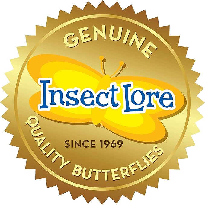 Insect Lore Raise and Release Butterfly Garden Kit – Caterpillar Habitat with redeemable Voucher – STEM-accredited Butterfly Growing Kit for Kids, Classrooms, and Homeschool Learning