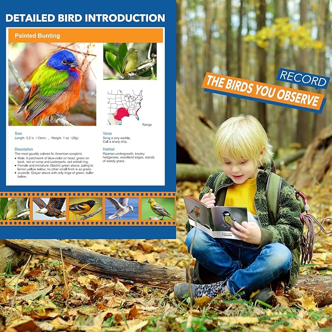 3-8 Year Old Boy Girl Toys: LET'S GO! Shockproof Binoculars for Kids Bird Watching 3 4 5 6 7 Year Old Boys Girls Outdoor Travel Toy for Kid Ages 4-7 Toddler Toy Binoculars Christmas Stocking Stuffers
