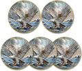 Eagle & Isaiah 40:31 Challenge Coin - Inspirational Christian Prayer Coin - Strength in The Storm - Pocket Gift with Clear Case(Pack of 5)