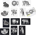 Wee Gallery Art Cards for Baby, Durable High Contrast Black and White Animal Flashcards for Newborns, Brain Development, Sensory Toys, Tummy Time Essentials for Infant and Toddler - Jungle Animals