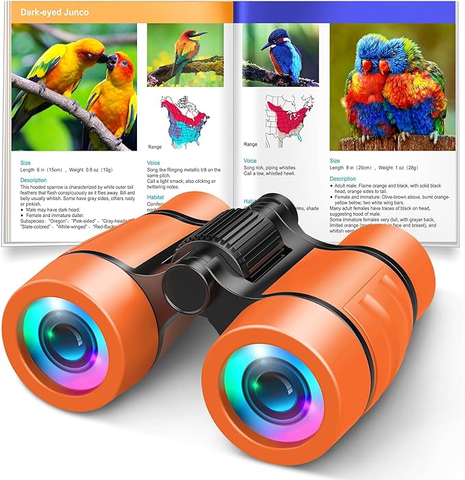 3-8 Year Old Boy Girl Toys: LET'S GO! Shockproof Binoculars for Kids Bird Watching 3 4 5 6 7 Year Old Boys Girls Outdoor Travel Toy for Kid Ages 4-7 Toddler Toy Binoculars Christmas Stocking Stuffers