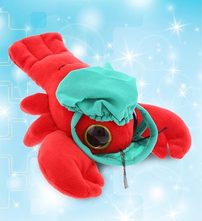 DolliBu Stuffed Animal Doctor Teddy Bear Dress Up - Cute Bear Costume Set with Surgical Cap, Mask, Scrub Shirt and Pants, Stuffed Animal Clothing Set, Collectible Teddy Bear Clothes Gift