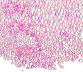 Iridescent Glass Tiny Bubble Beads, 0.4-3mm 10g No Hole Micro Mini Round Pink Water Droplets Beads - Applications: for Resin Filler, Nail Art, Dollhouse Bath Tub